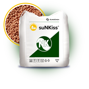 310x310__0013_suNKiss 3