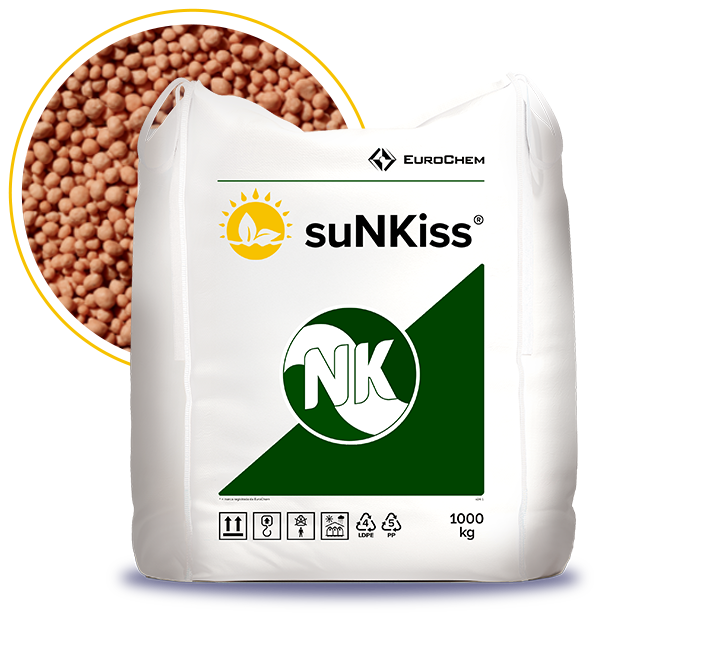 Sunkiss 3
