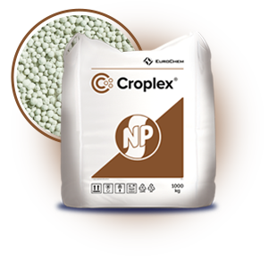 310x310__0007_Croplex 3