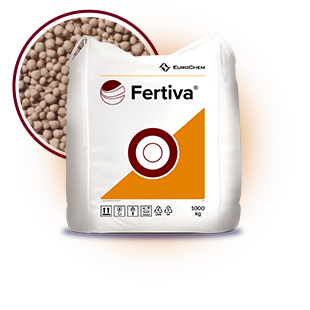310x310__0009_Fertiva 3