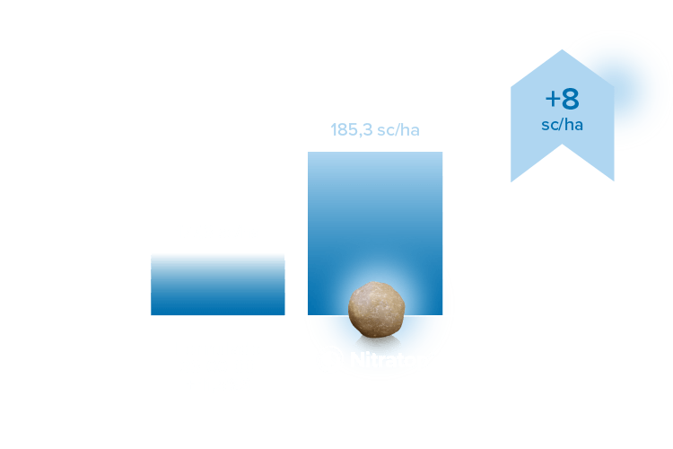 Resultados Nitratop - DESKTOP 1