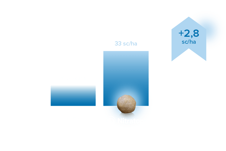 Resultados Nitratop - DESKTOP 2