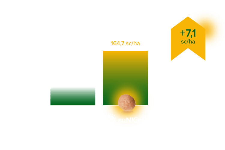 Resultados SuNKiss - DESKTOP 1