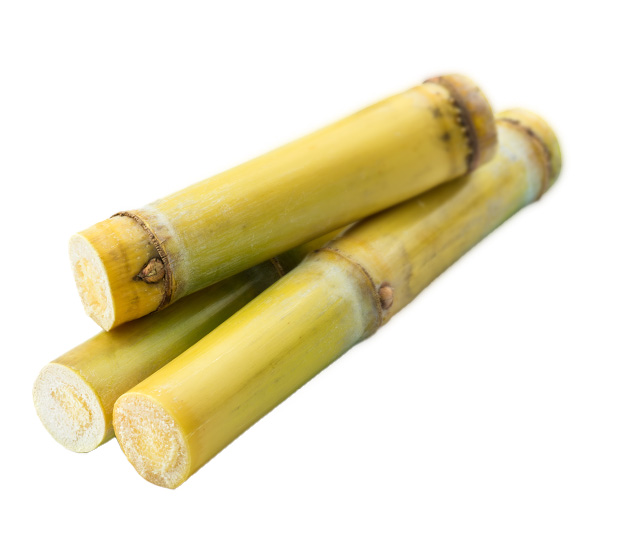 Bambus-de-Cana