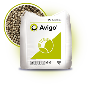 310x310__0003_Avigo 3