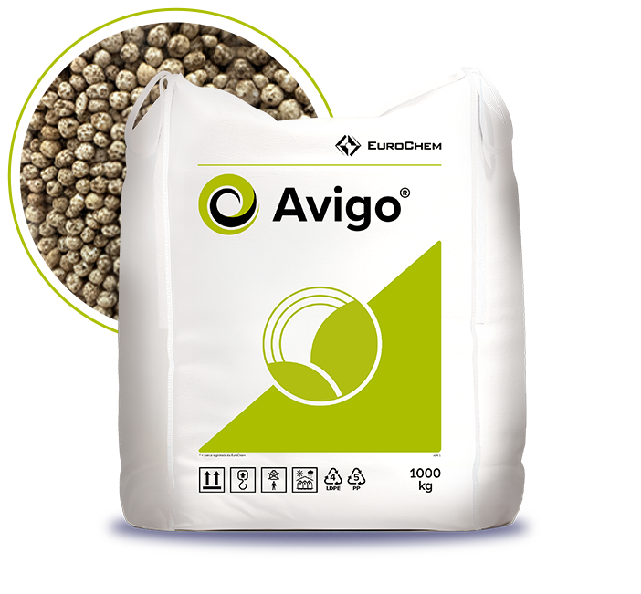 Avigo 3